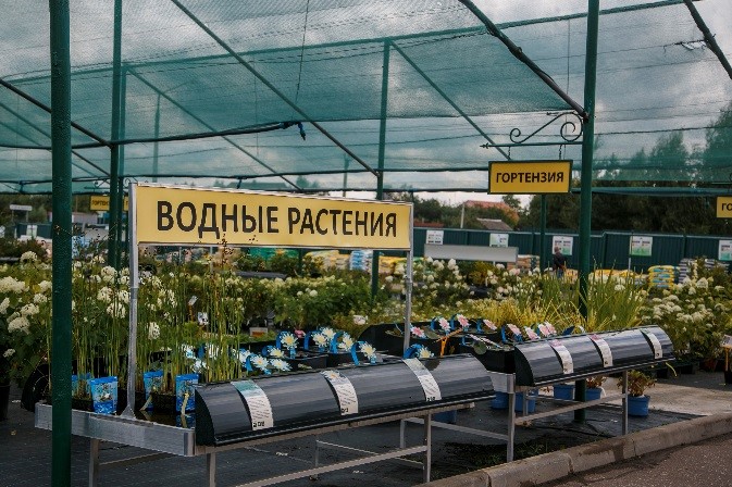 Водные растения в садовом центре Южный